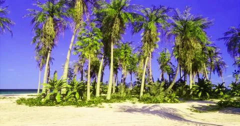 Tropical palm trees lining a beautiful white sandy beach under a clear sky Illustration