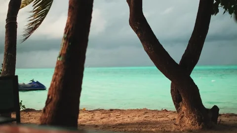 Tropical palm trees on the sandy seashore. In the bay, a jet ski on the waves Stock Footage 264470513