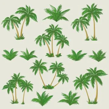 Tropical palm trees set Illustrazione stock