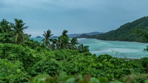 Tropical palm trees stagger from the wind against the background of the sea and Vidéo 95583555