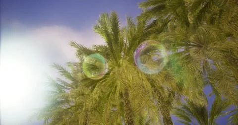 Tropical palm trees sway under a bright blue sky with sunlight and lens flare イラスト素材