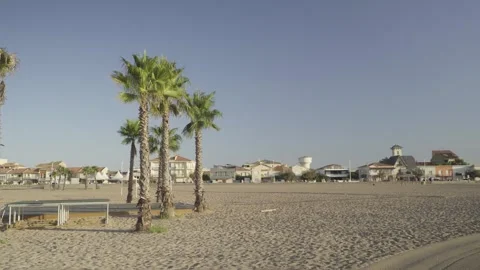Tropical palm trees on a wide sandy beach against a resort city Stock Footage 342445583
