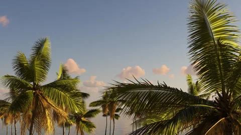 Tropical palm trees in the wind on a transparent background. Stock Footage 291051174