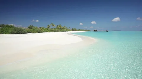 Tropical palmbeach  Stock Footage 1018316