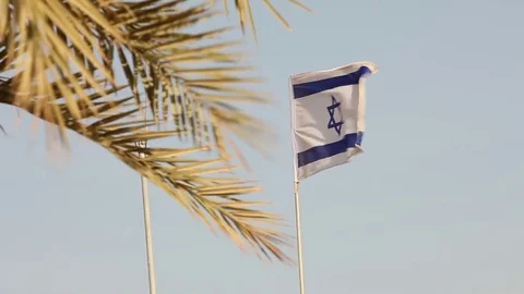 Tropical palms on the background of the flag of Israel, Israeli flag against the Stock Footage