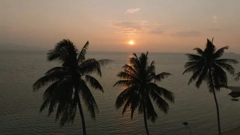 Tropical palms framing sunset reflections on the sea. Ko Pha Ngan, Thailand. Video stock 301945647