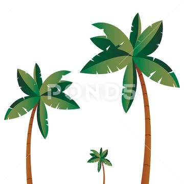 Tropical palms tree isolated design Stock Illustration