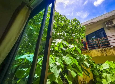 Tropical Panorama View From Window Over Patong And Lush Green Nature Phuket.. Stock Photos