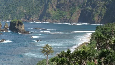Tropical Papuma Beach Stock Footage 105782748