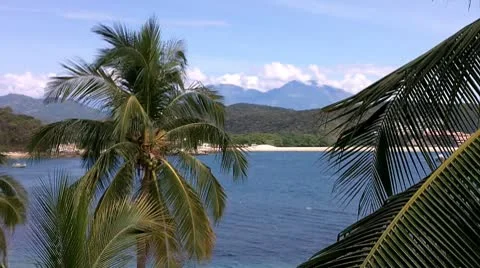 Tropical Paradise 03 Stock Footage 8841547