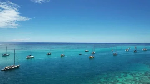 Tropical Paradise 1 Stock Footage 169060081