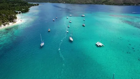 Tropical Paradise 3 Stock Footage 169060115