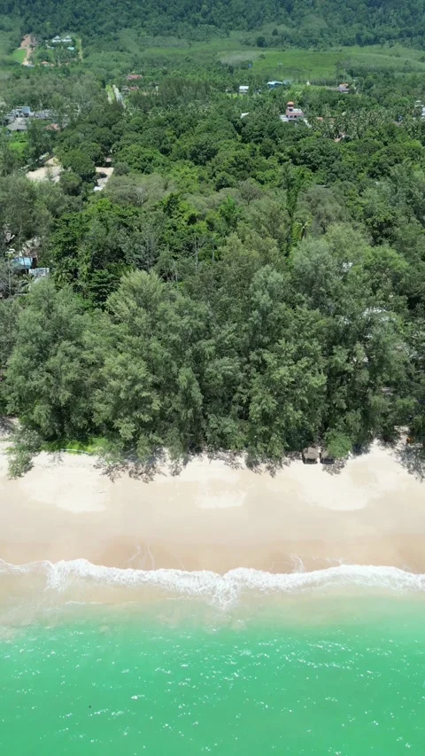 Tropical paradise beach with big trees, pure emerald sea on Koh Lanta. Stock-Footage 342378047