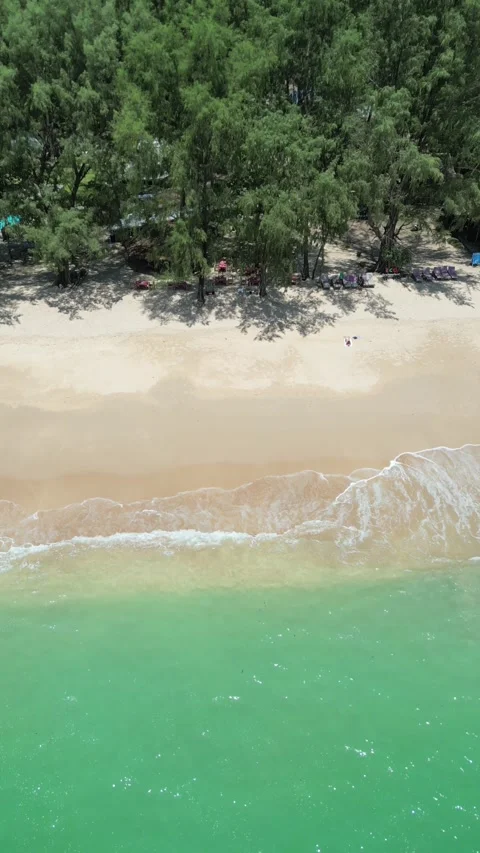 Tropical paradise beach with big trees, pure emerald sea on Koh Lanta. Stock-Footage 342378048