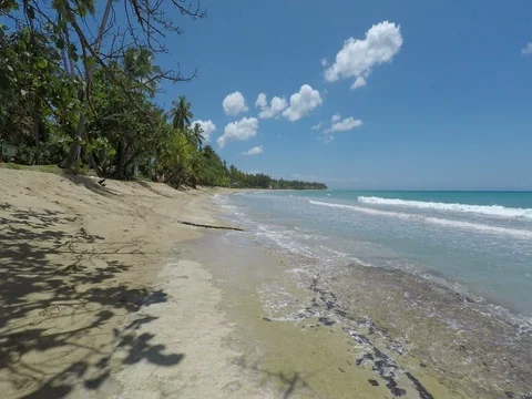 Tropical paradise beach Stock Footage