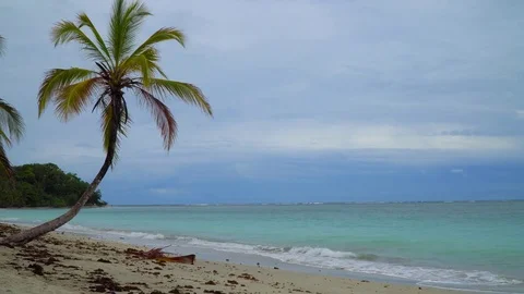 Tropical Paradise Beach Stock Footage 84332748