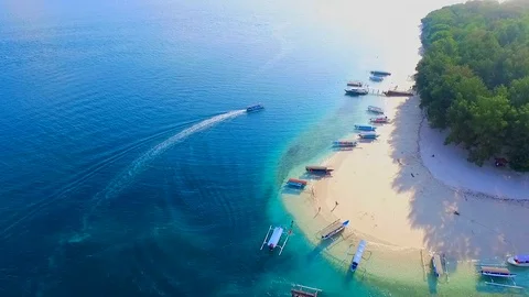 Tropical paradise beach Stock Footage 119618023