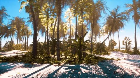 A tropical paradise beach with palm trees and crystal clear ocean waters Illustrazione stock