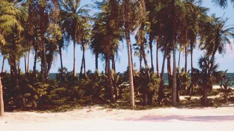 A tropical paradise beach with palm trees and crystal clear ocean waters Stockillustratie