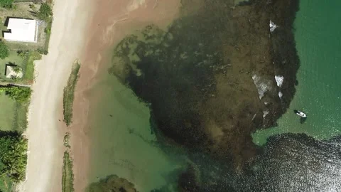 Tropical paradise beach with shallow emerald water and natural pools Stock Footage 311328529