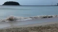 Tropical Paradise, Beautiful Kata Beach in Phuket Island, Amazing Thailand HD Footage