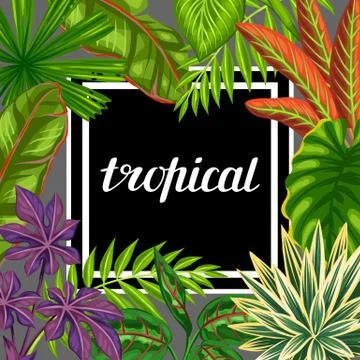 Tropical paradise card with stylized plants and leaves. Image for advertising Illustrazione stock