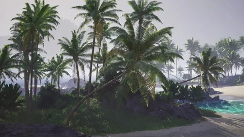 Tropical paradise featuring palm trees, rocky coast, and serene waters Stock Footage 326153778