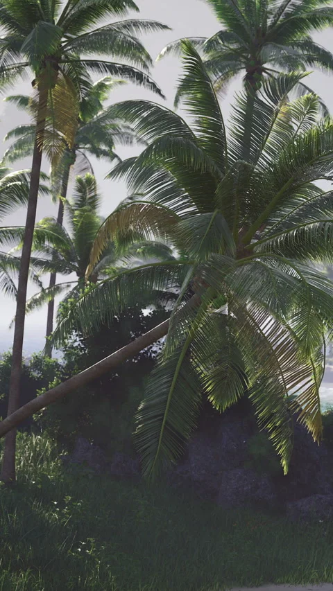 Tropical paradise featuring palm trees, rocky coast, and serene waters Vídeo Stock 326198377