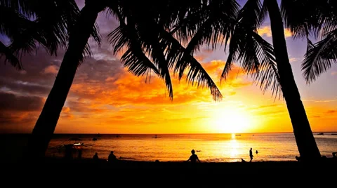 Tropical Paradise Video stock 36778792