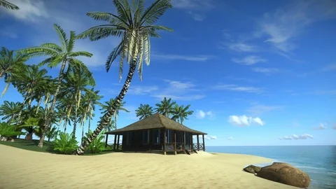 The Tropical Paradise Stock Footage 111059023