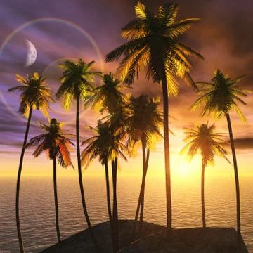 Tropical paradise Stock-Illustration