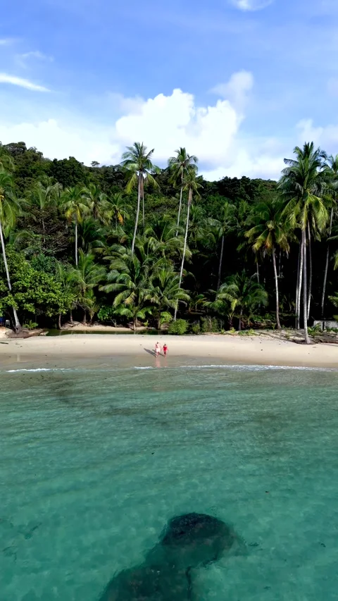 Tropical paradise on Koh Kood Island with gentle waves and swaying palm trees 스톡 동영상 324683953