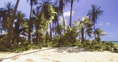 Tropical paradise with lush palm trees and sandy beach under clear sky Illustrazione stock
