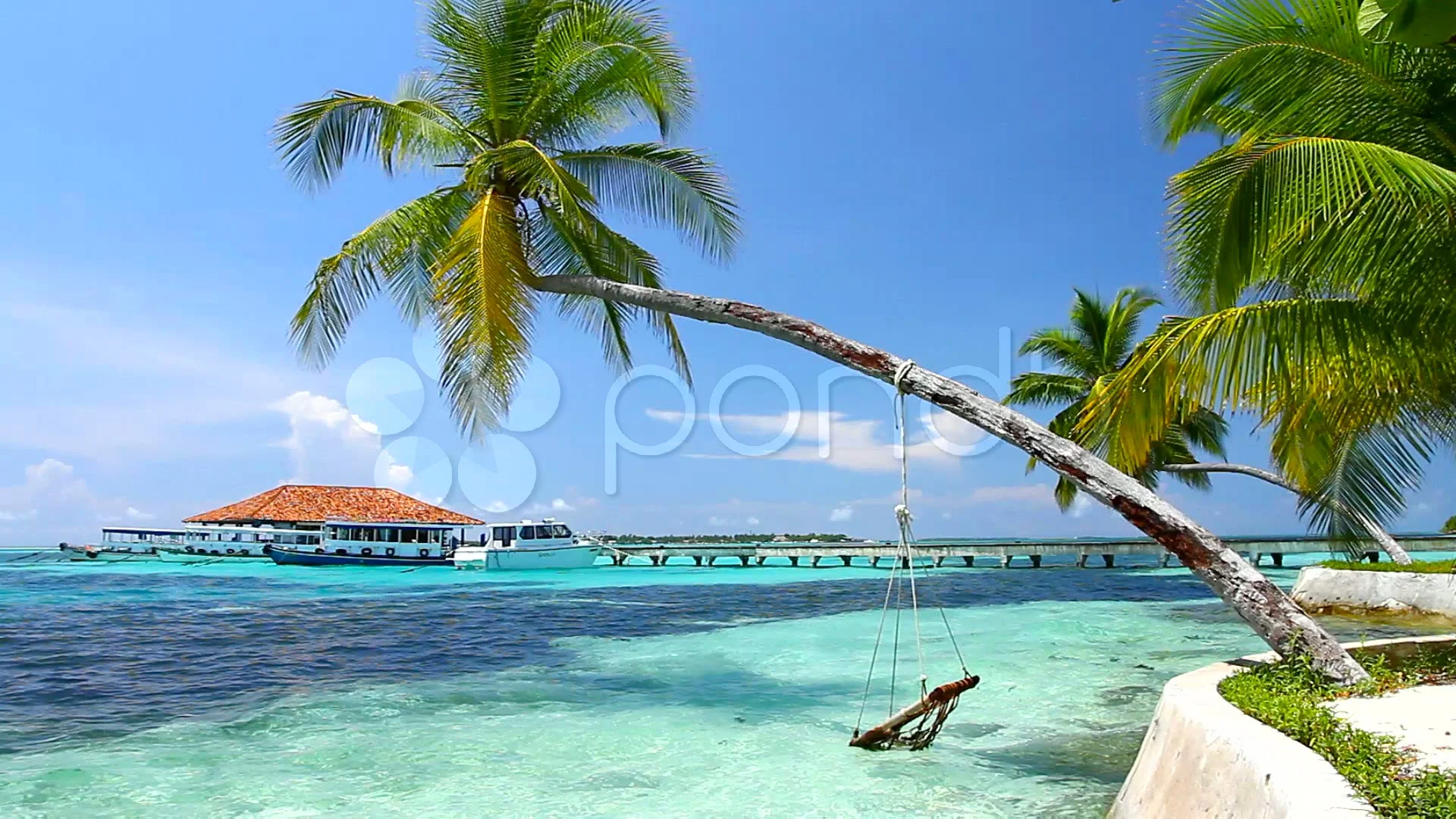 Tropical Paradise at Maldives with palms, Stock Video