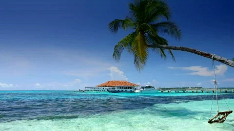Tropical Paradise at Maldives with palms and blue sky Stock Footage