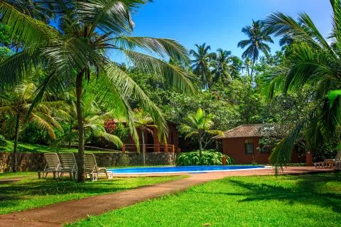 Tropical paradise 스톡 사진