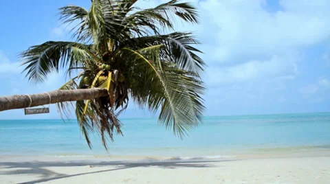 Tropical Paradise at Samui with palm  tree on the beach Stock Footage 35154308