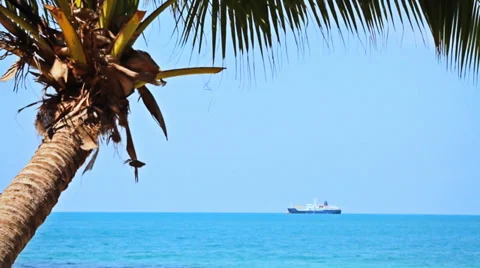 Tropical Paradise at Samui with palm  tree on the beach and ship Stock Footage 35379850