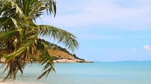 Tropical Paradise at Samui with palm  tree on the beach Stock Footage 37966252