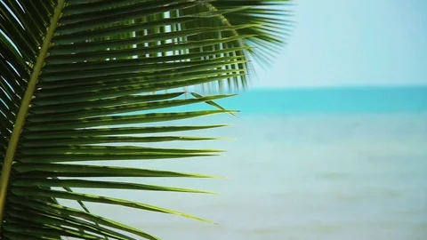 Tropical Paradise at Samui with palm  tree on the beach and ship Stock Footage 75464626