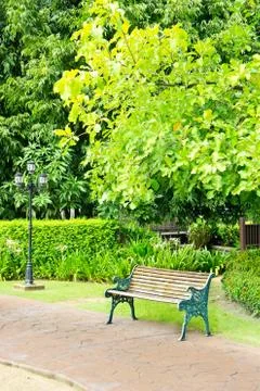 Tropical park Stock Photos