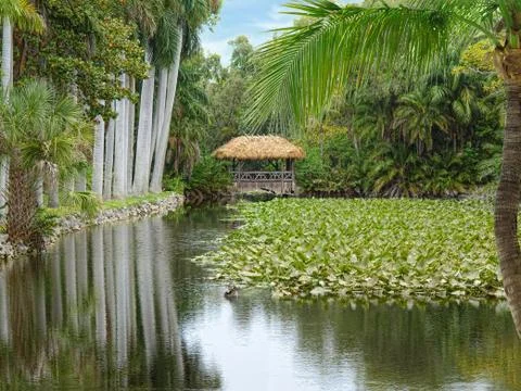 Tropical Park Stock Photos