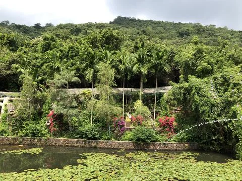Tropical park Foto stock