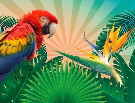 Tropical parrot collage Foto stock