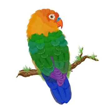Tropical parrot on a white background. Vector illustration イラスト素材