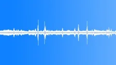 Tropical parrots chirping in the zoo people ambianceSound Effect