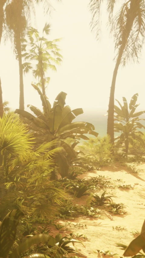 Tropical path with palm trees leading to the ocean in bright sunlight Stock Footage 341254789