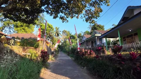Tropical path winds through lush greenery Stock Footage 345153098