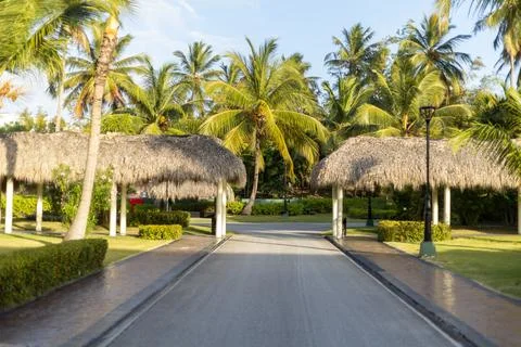 Tropical pathway lined with palm trees and thatched roofs in a serene resort Stock Photos