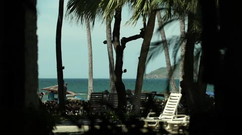 Tropical patio view overlooking the ocean with palm trees in the foreground Stock Footage 61903500